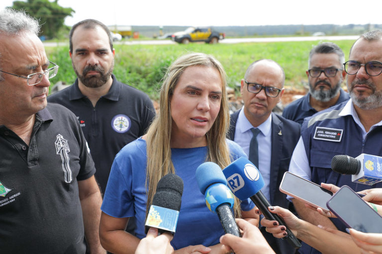 Força-tarefa retira carcaças e entulhos em Taguatinga