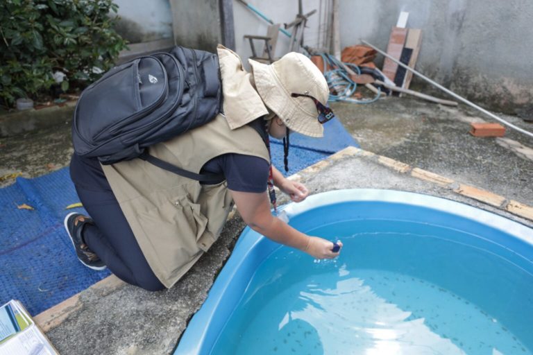 Sete estados e o DF têm tendência de queda nos casos de dengue