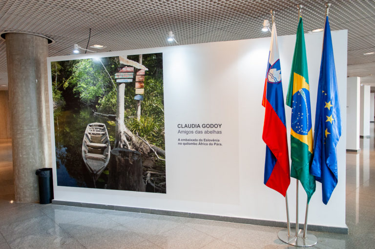 Exposição fotográfica na CLDF exibe criação de abelhas em quilombo