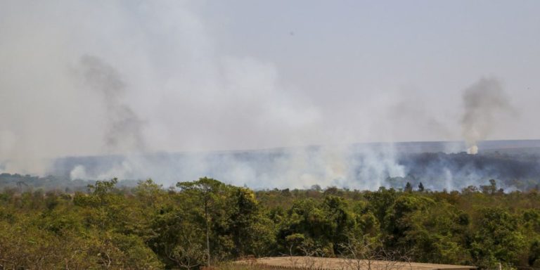 GDF investiga ação criminosa no incêndio do Parque Nacional de Brasília